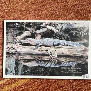 Roadside Louisiana travel photo book Cajun country Reggie Keogh